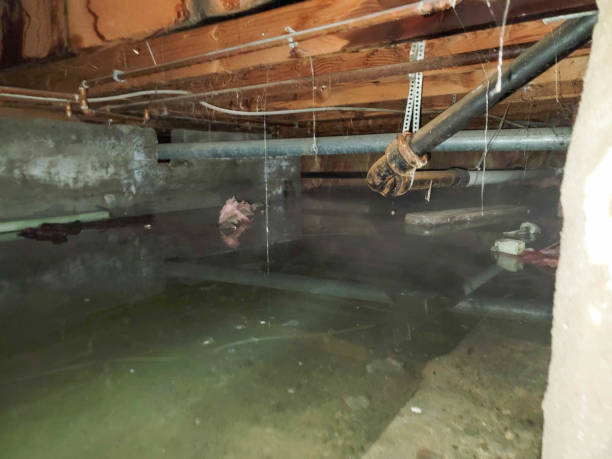  Burtonsville, MD Water damage restoration Pros