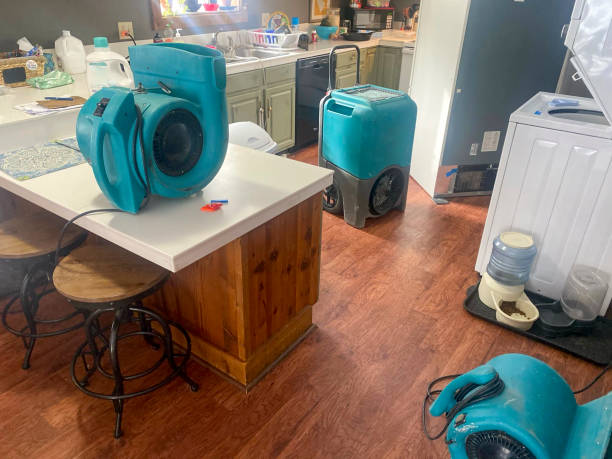 Best 24/7 water damage repair  in Burtonsville, MD