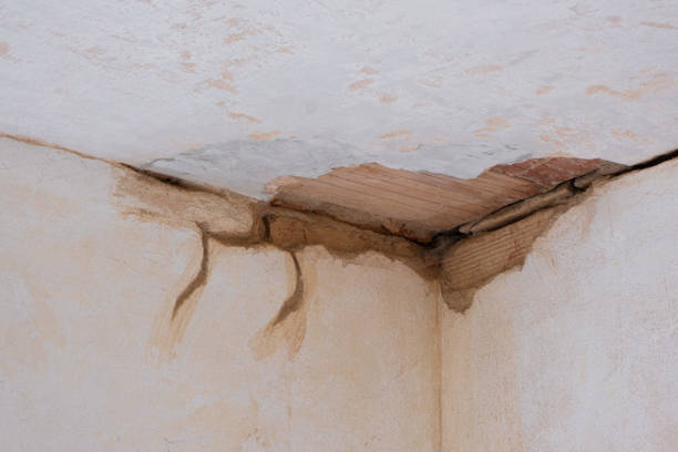 Best Water damage contractors near me  in Burtonsville, MD