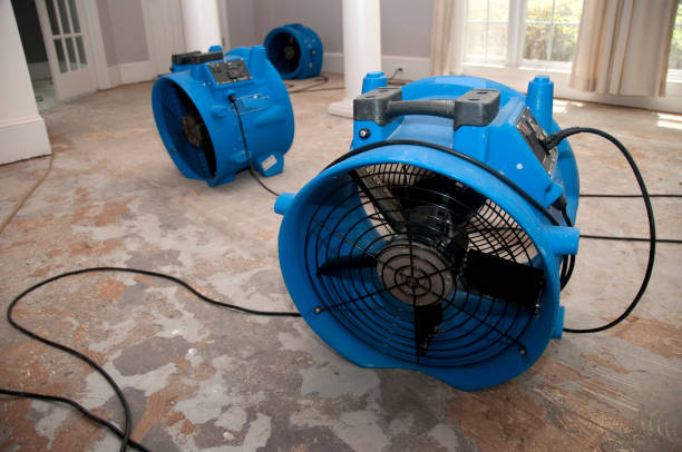Best Water damage restoration near me  in Burtonsville, MD