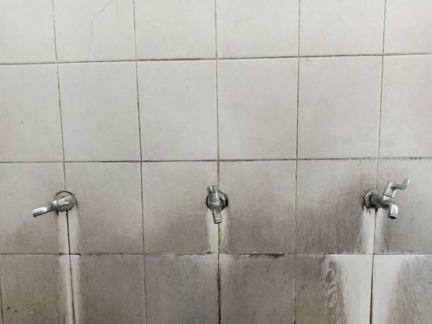 Best Local water damage restoration  in Burtonsville, MD