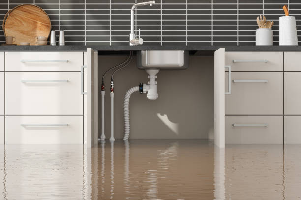 Best Residential water damage restoration  in Burtonsville, MD