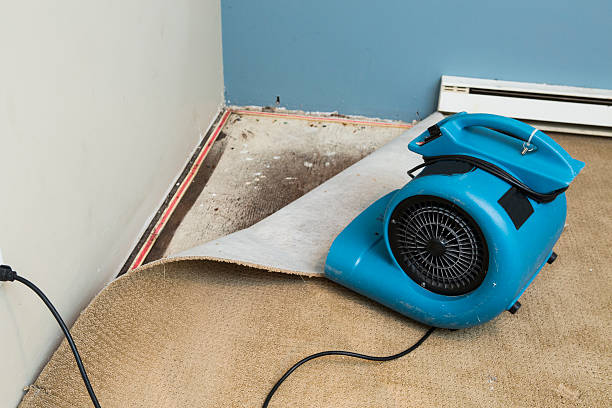 Best Local water damage restoration  in Burtonsville, MD